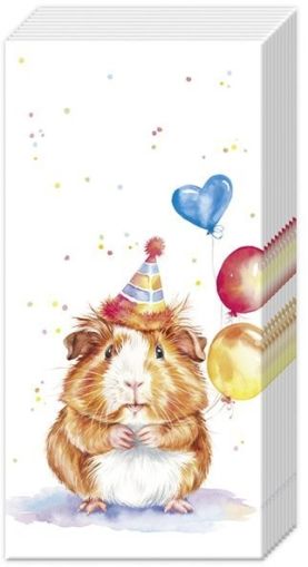 IHR | Носни кърпички | BIRTHDAY KALLI