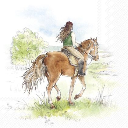 IHR | Салфетки | RIDING