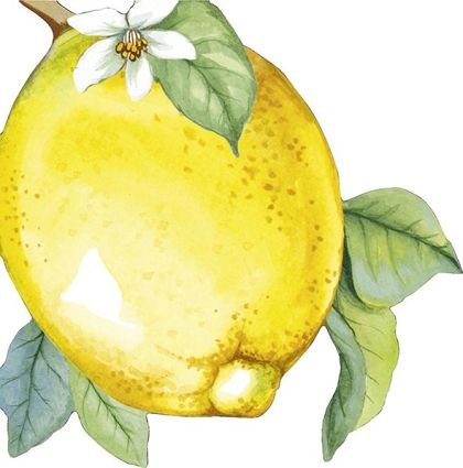 IHR | Фигурни салфетки | LEMON
