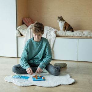Smart Games | Логическа игра котки и кутии
