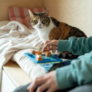 Smart Games | Логическа игра котки и кутии