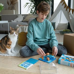 Smart Games | Логическа игра котки и кутии