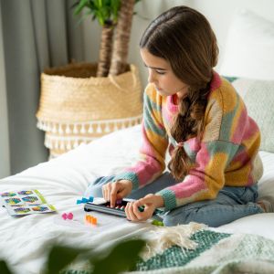 Smart Games | Логическа игра | Перплекс