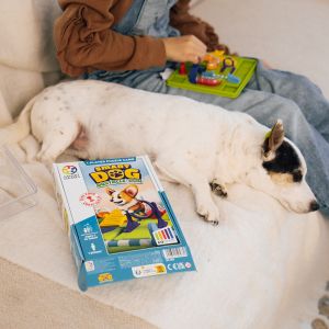 Smart Games | Логическа игра | Умно куче 