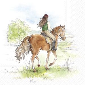 IHR | Салфетки | RIDING