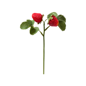 Florissima | Ягодов клон 25cm червен | Red