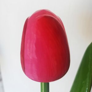 Холандско дървено лале 34 см – ръчно изработено